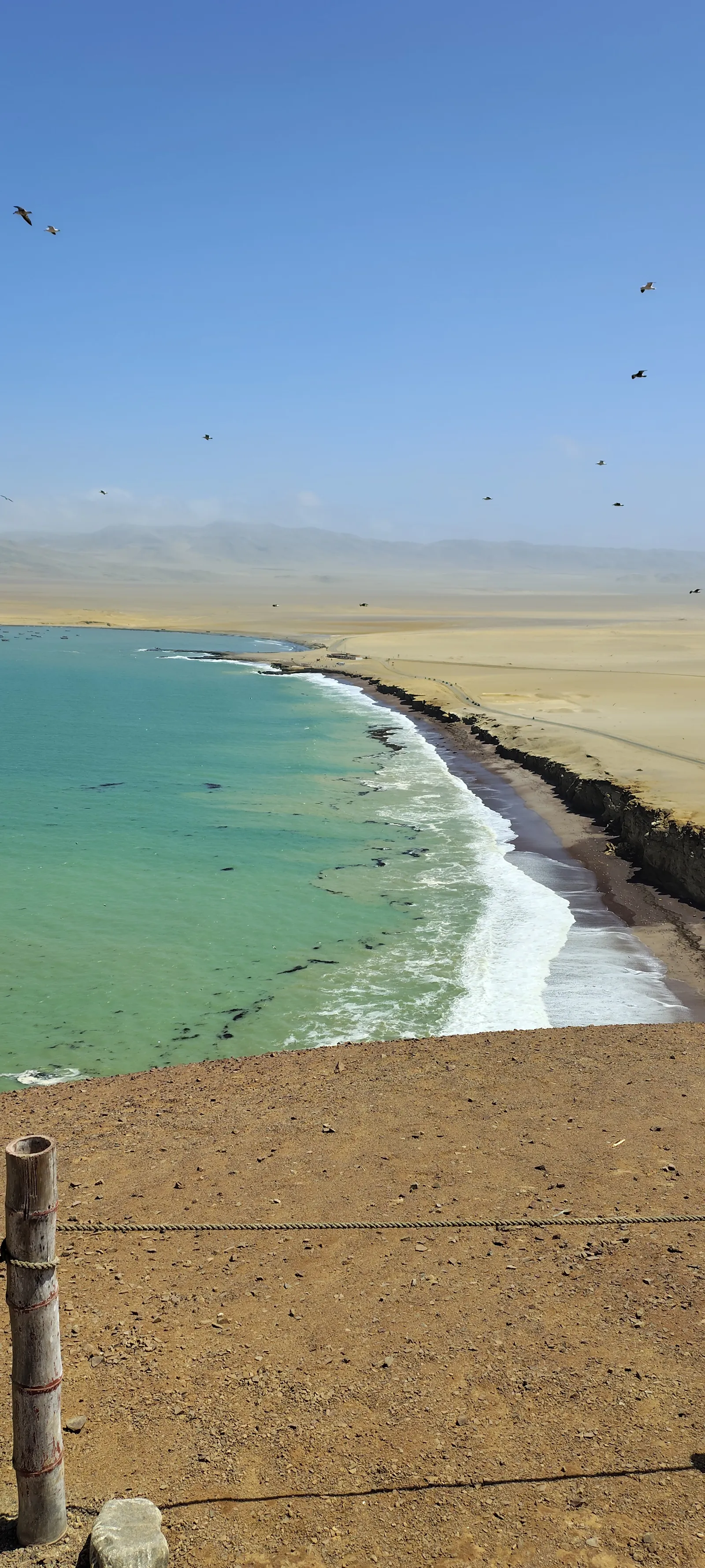Playa La Mina en la Reserva Nacional de Paracas, arena dorada y mar turquesa